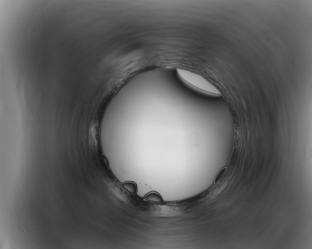 X0000088360286200705220739