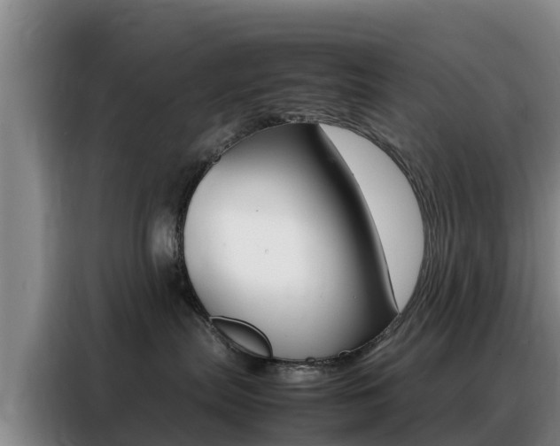X0000088360287200705220739
