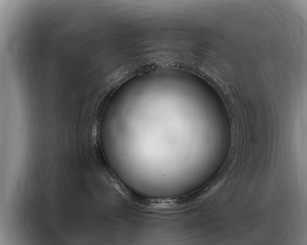 X0000088360288200705220739