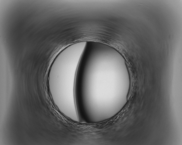 X0000088360289200705220738