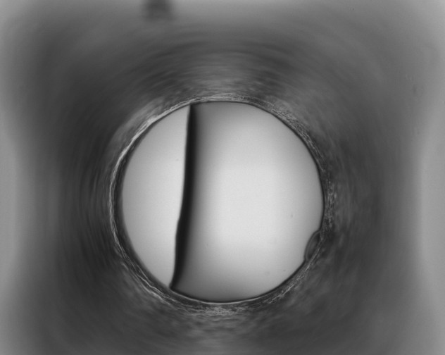 X0000088360290200705220738
