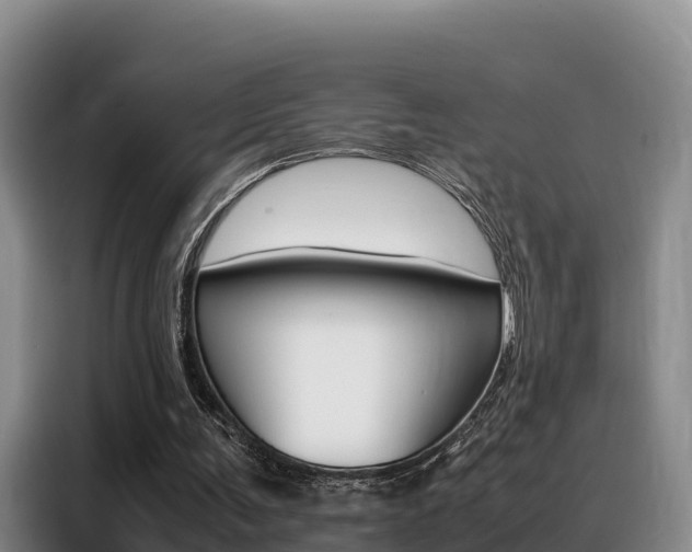 X0000088360291200705220738