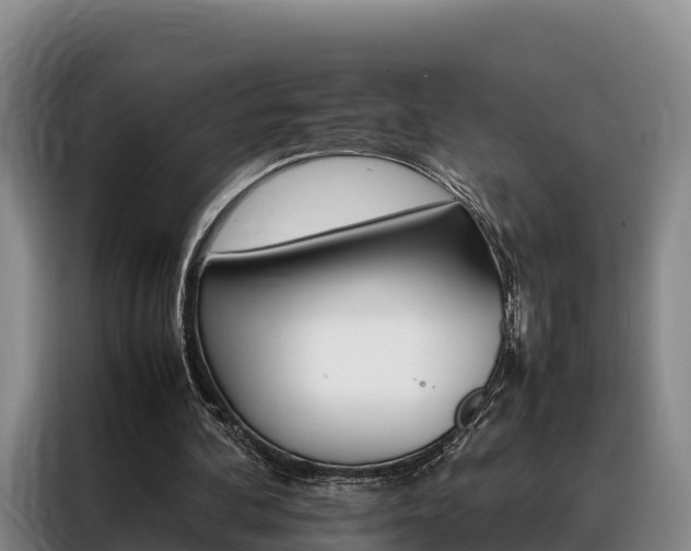 X0000088360292200705220738