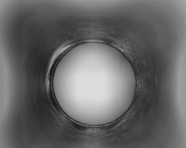 X0000088360294200705220738