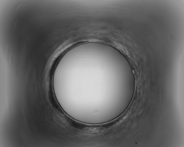 X0000088360295200705220738