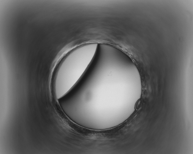 X0000088360296200705220738