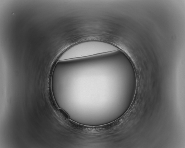 X0000088360297200705220738