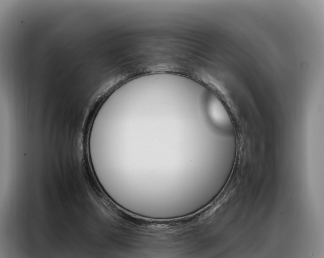 X0000088360298200705220738