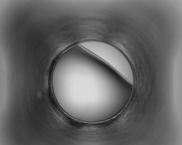 X0000088360299200705220738