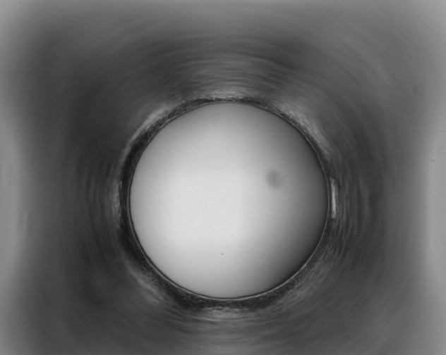 X0000088360300200705220738