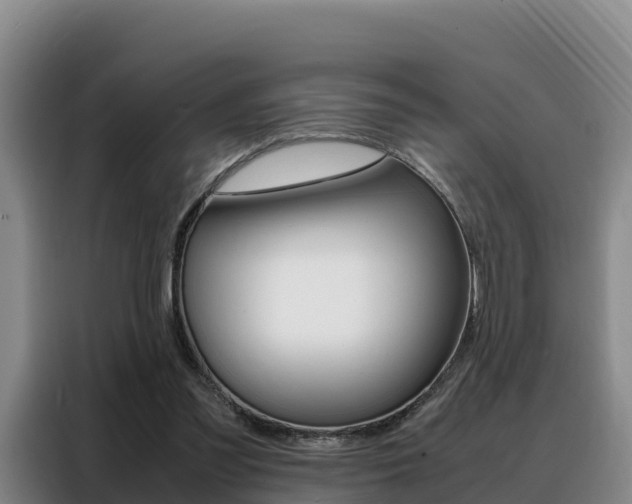 X0000088360301200705220738