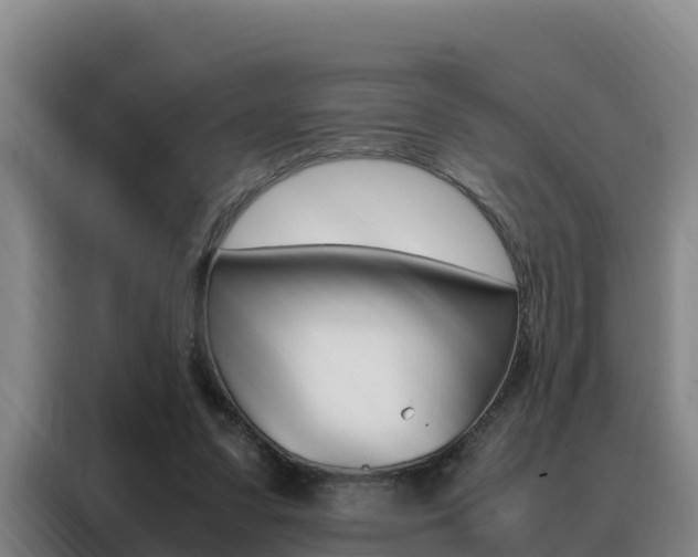 X0000088360303200705220738