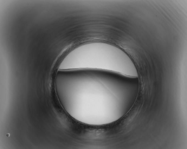 X0000088360304200705220738