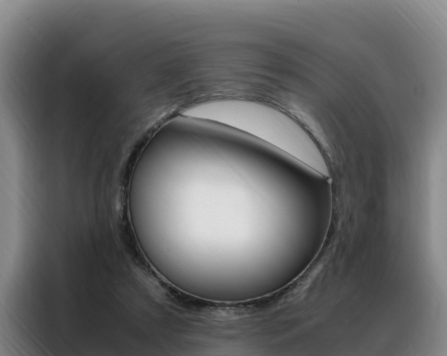 X0000088360305200705220738