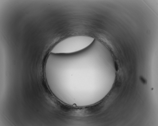 X0000088360306200705220738