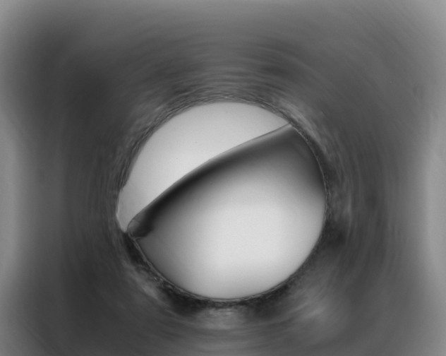 X0000088360307200705220738