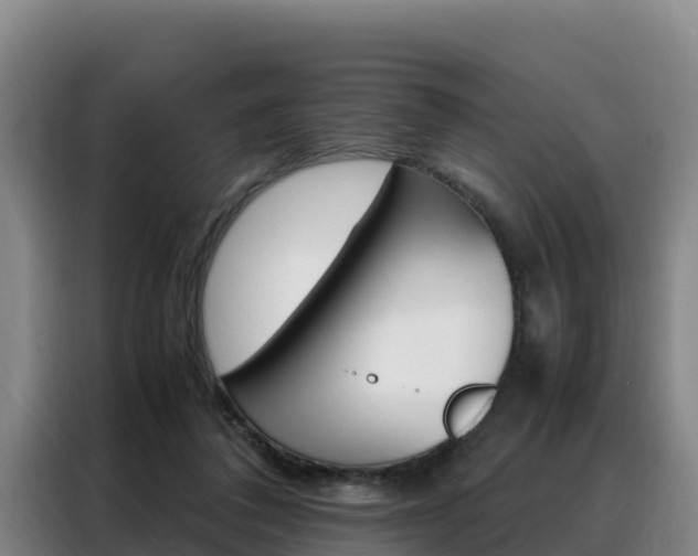 X0000088360308200705220738