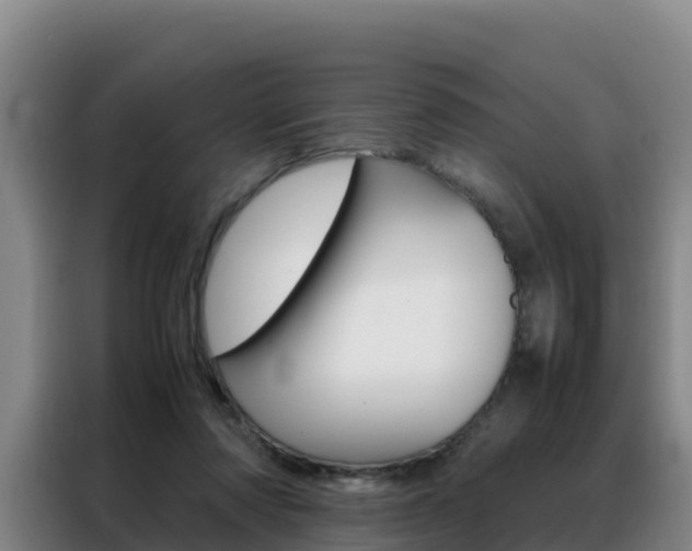 X0000088360310200705220738