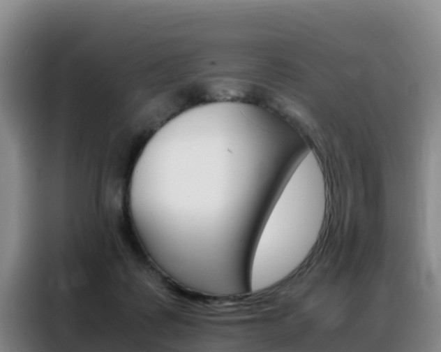 X0000088360315200705220738