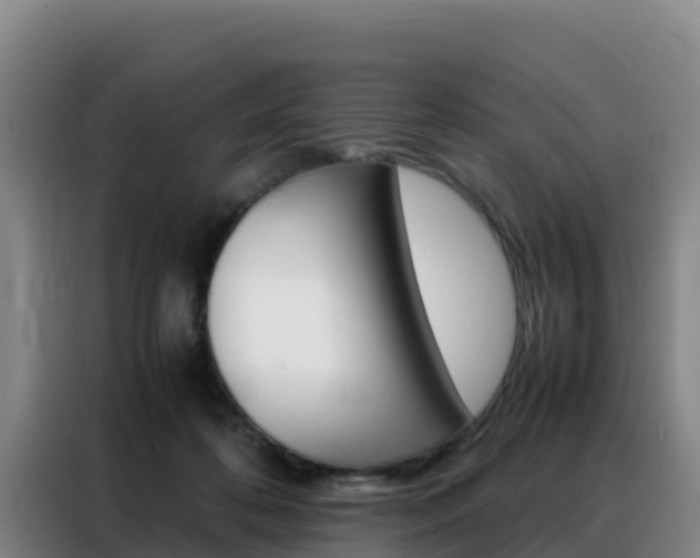 X0000088360316200705220738