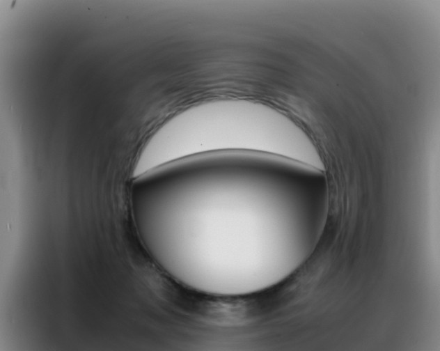 X0000088360317200705220738