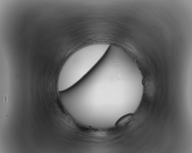 X0000088360318200705220738