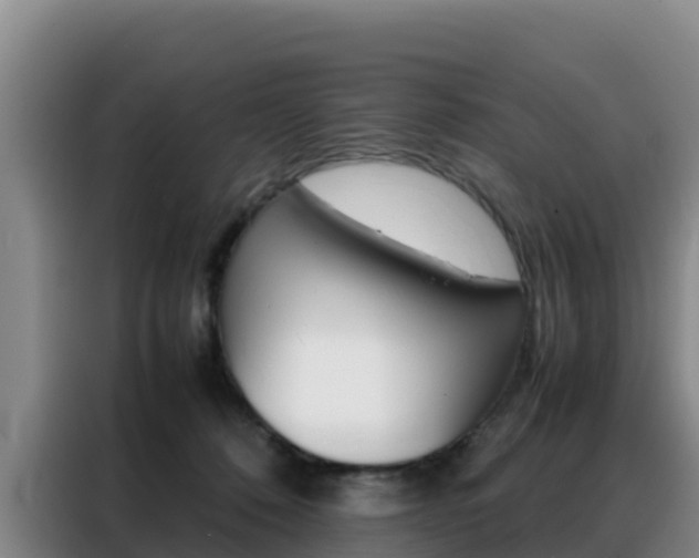 X0000088360320200705220738