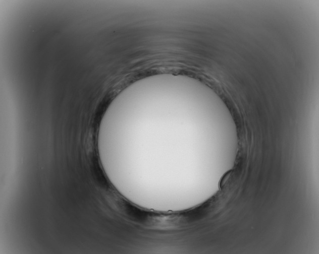 X0000088360323200705220738