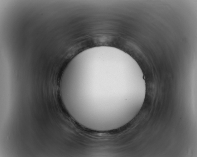 X0000088360324200705220738