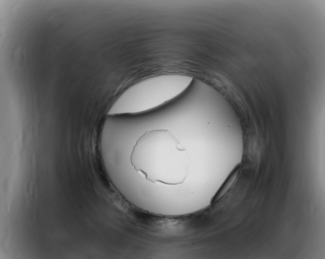 X0000088360326200705220738