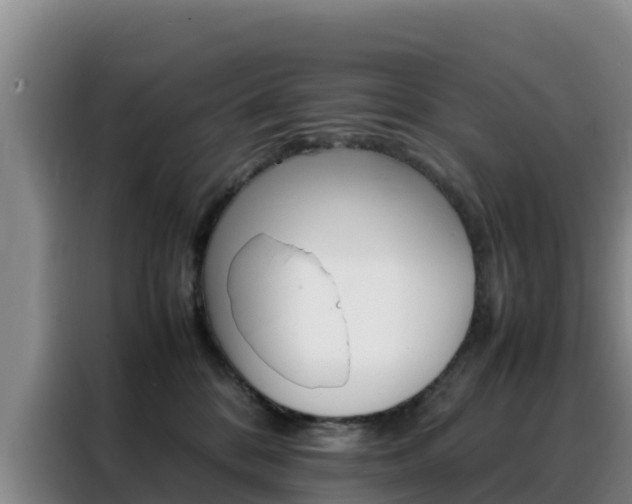 X0000088360328200705220738