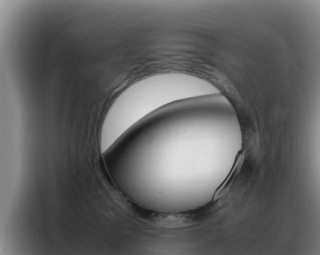 X0000088360329200705220738