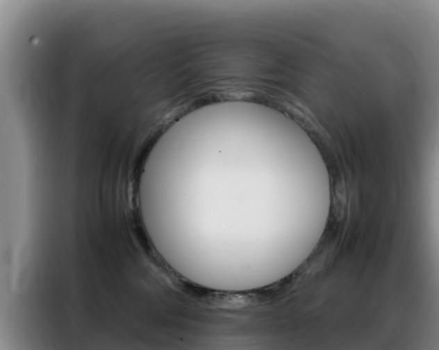 X0000088360330200705220738