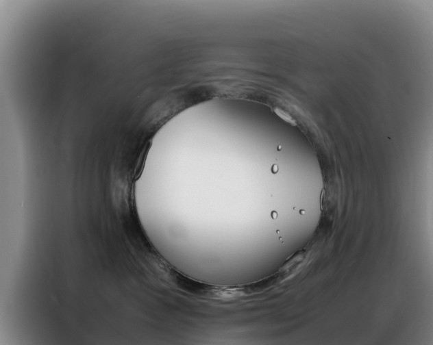 X0000088360333200705220738