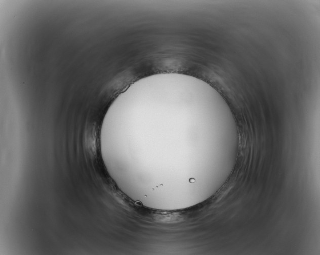 X0000088360334200705220738