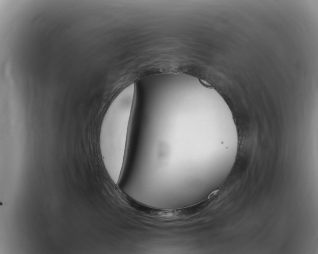 X0000088360335200705220738