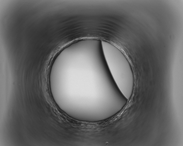X0000088360337200705220737
