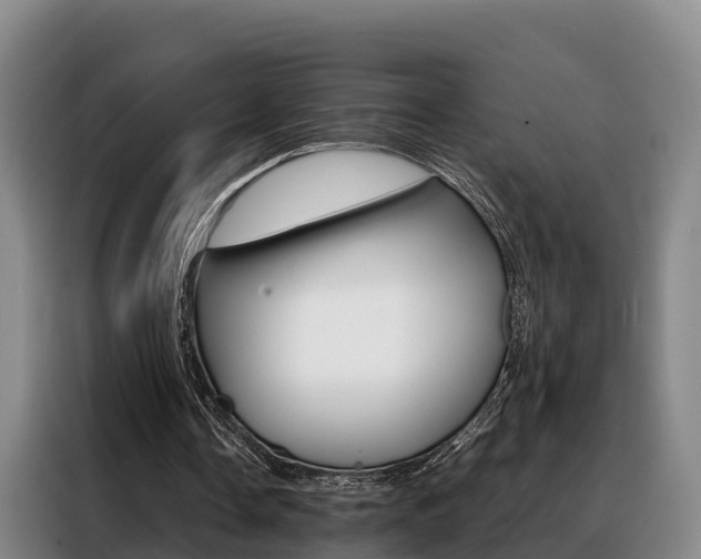 X0000088360338200705220737
