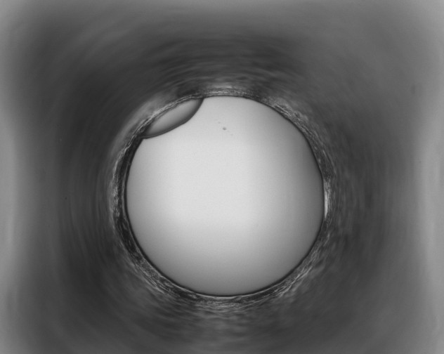 X0000088360339200705220737