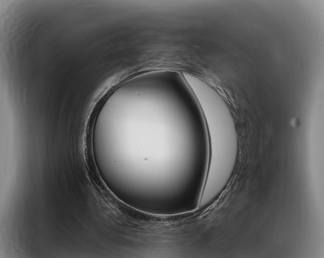 X0000088360340200705220737