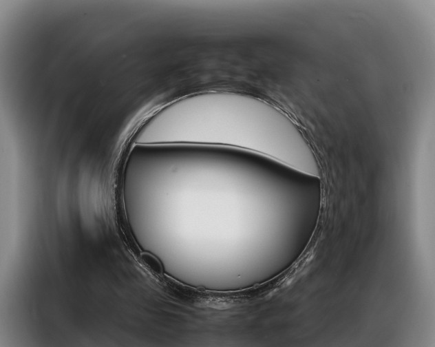X0000088360341200705220737
