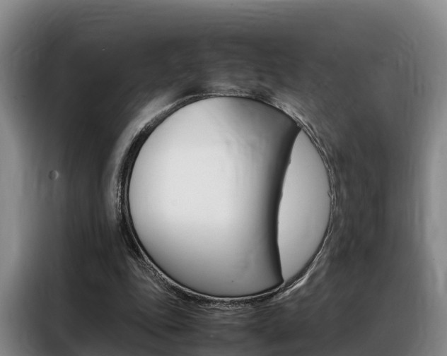 X0000088360343200705220737