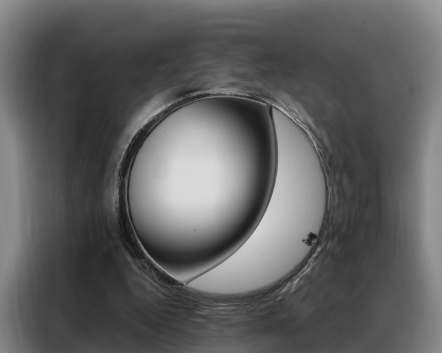 X0000088360344200705220737