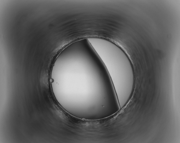 X0000088360345200705220737