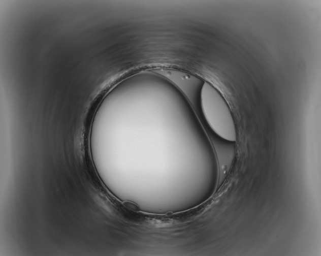 X0000088360346200705220737