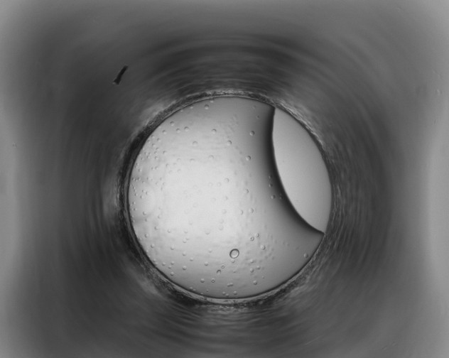 X0000088360347200705220737