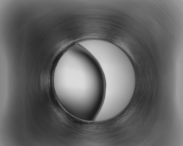 X0000088360348200705220737