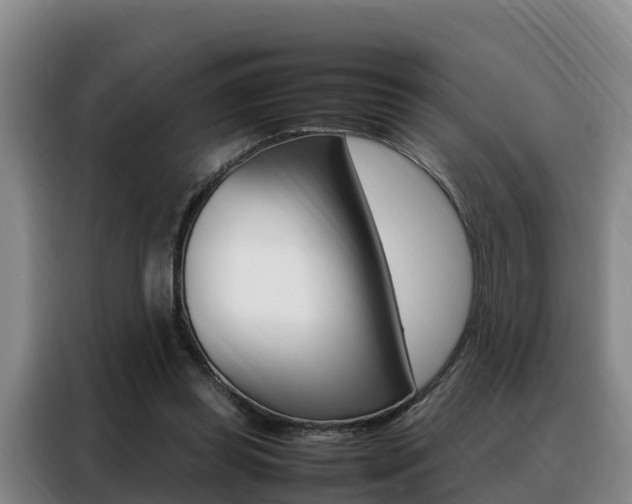 X0000088360349200705220737