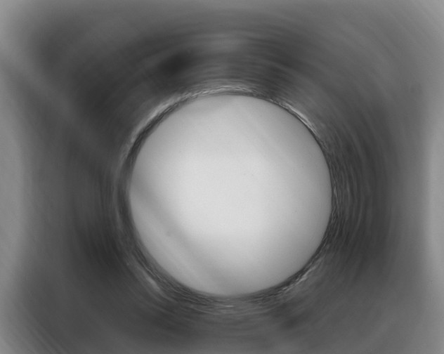 X0000088360350200705220737