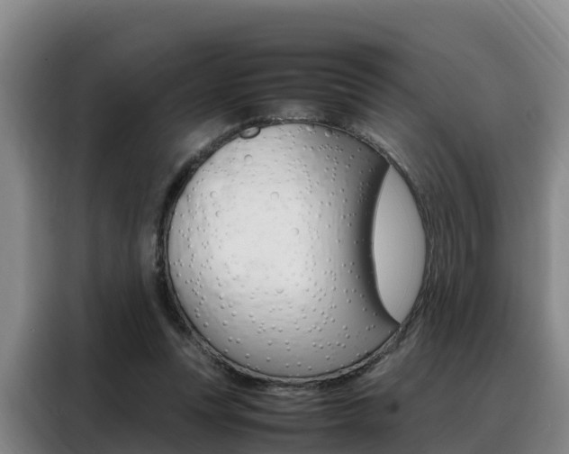 X0000088360351200705220737